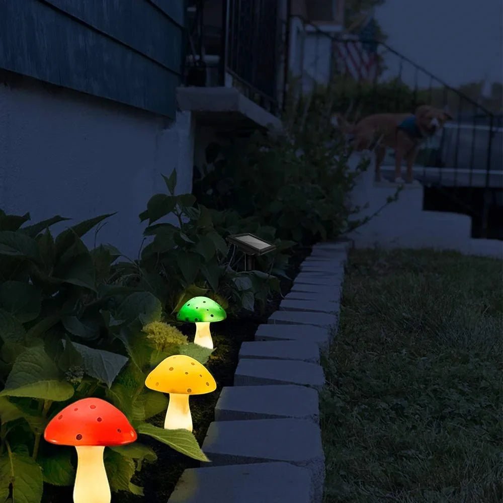 - Guirlande lumineuse champignon à panneau solaire 12 LED - Solairox
